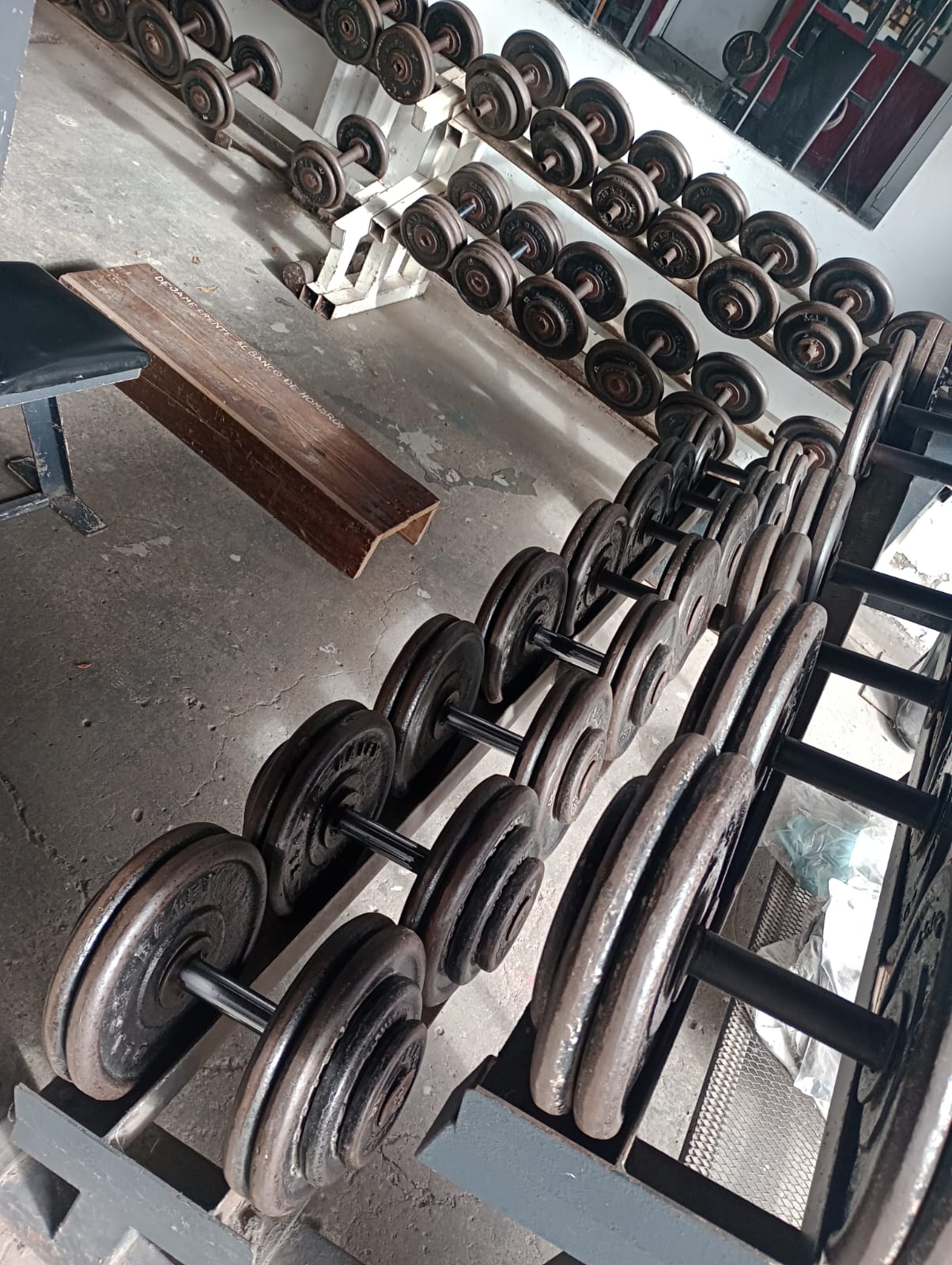 Equipamiento de musculación en Nuevo Gimnasio El Aguante